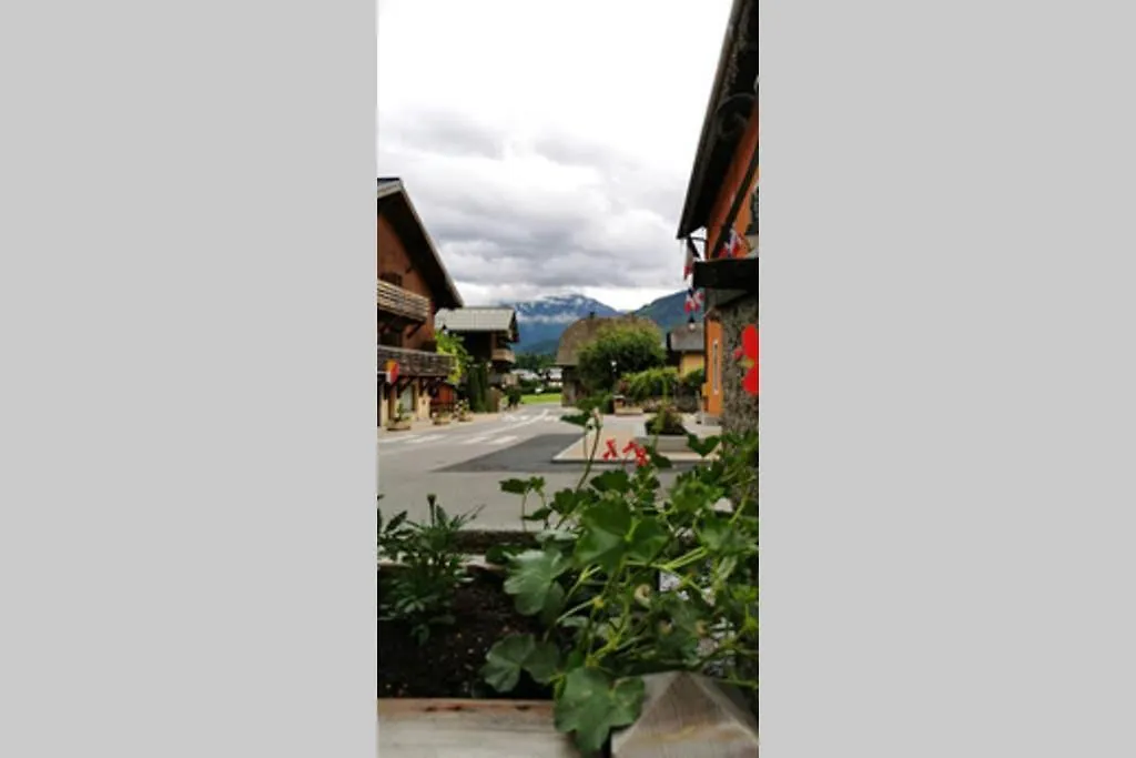 Charmant appartement 6-8 personnes au cœur du village à proximité lac et pistes de ski Morillon