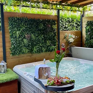 Un Petit Coin De Paradis Appartement Toulouse